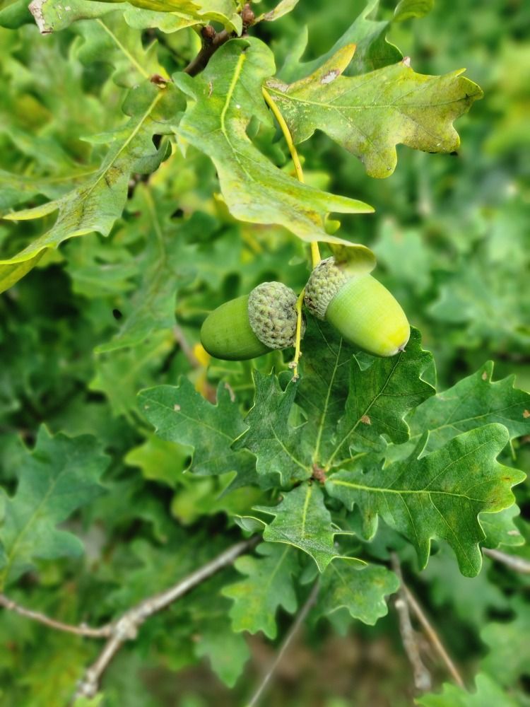 Photograph by Юлия Звонарева