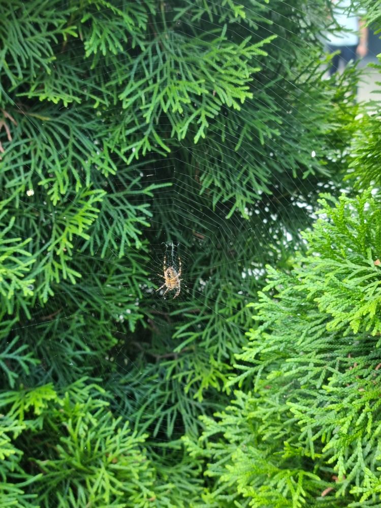 Photograph by Юлия Звонарева