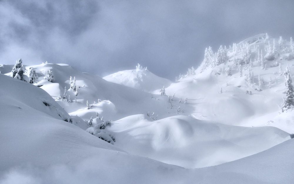 Photograph by Marina Poushkina