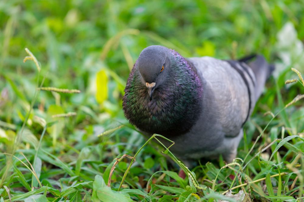 Photograph by Siarhei Saladukhin