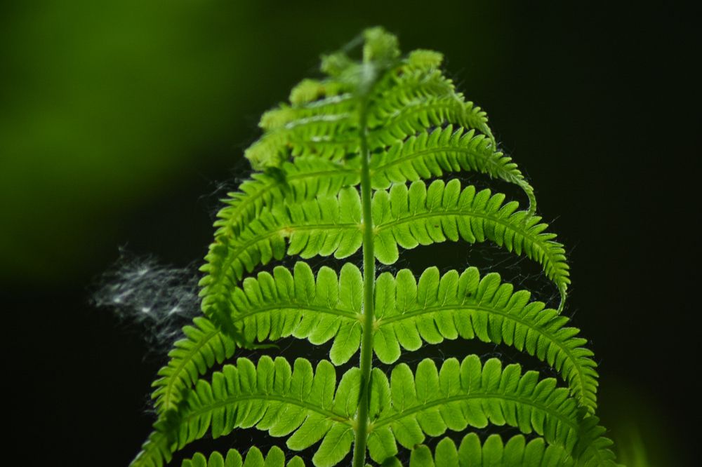 Photograph by Елизавета Турутина