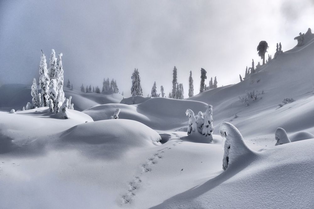 Fresh snow in mountains