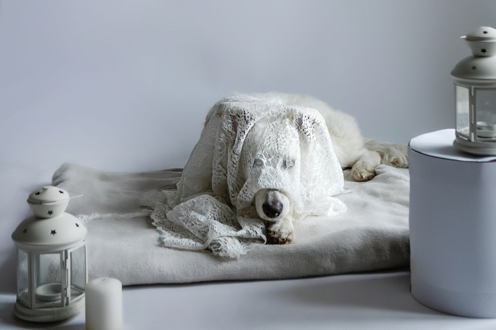 Photograph by Наталья Житинева