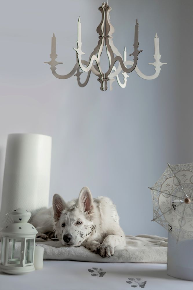 Photograph by Наталья Житинева