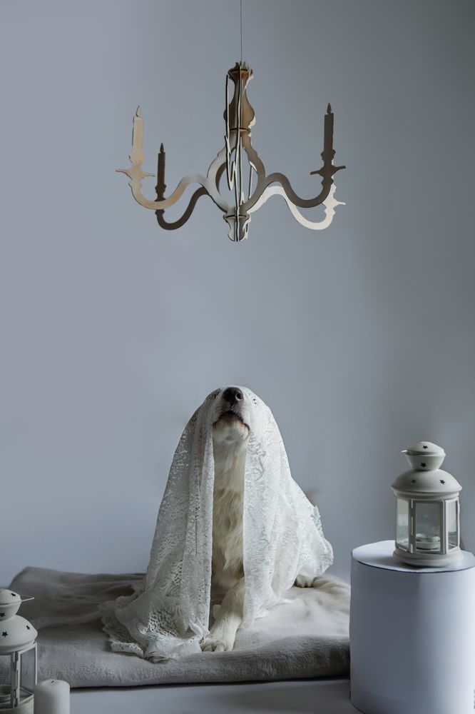 Photograph by Наталья Житинева