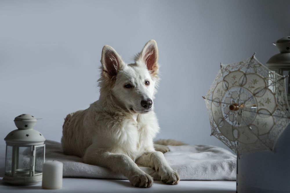 Photograph by Наталья Житинева