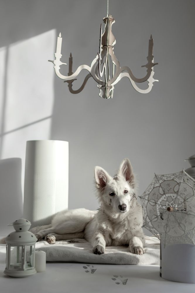 Photograph by Наталья Житинева