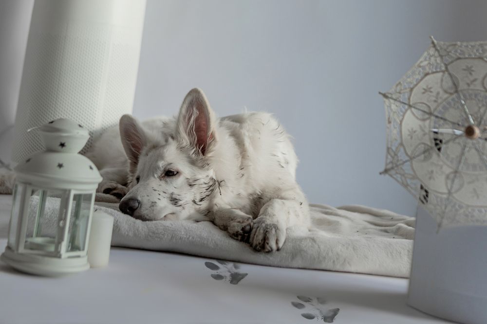 Photograph by Наталья Житинева