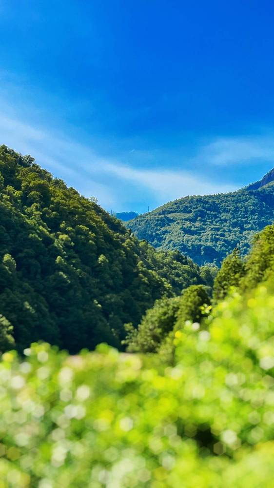 Photograph by Siarhei Saladukhin