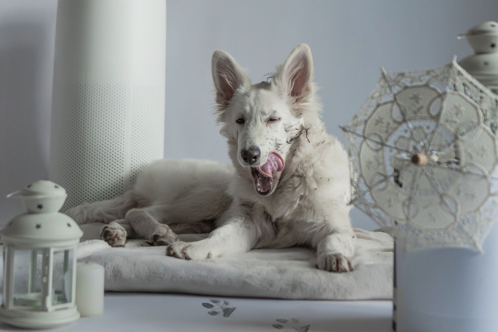 Photograph by Наталья Житинева