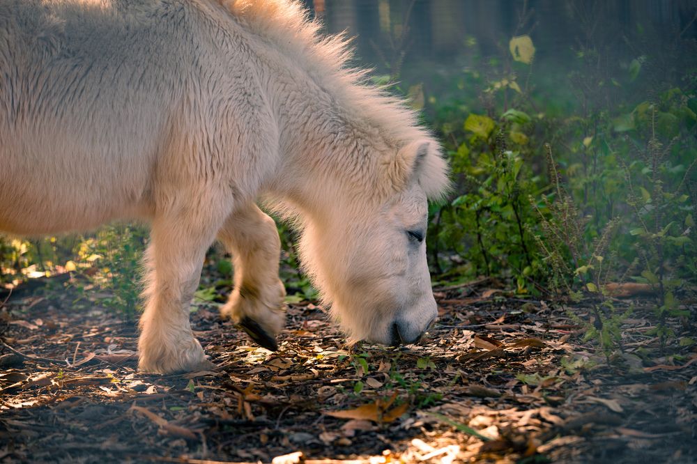 Photograph by Siarhei Saladukhin