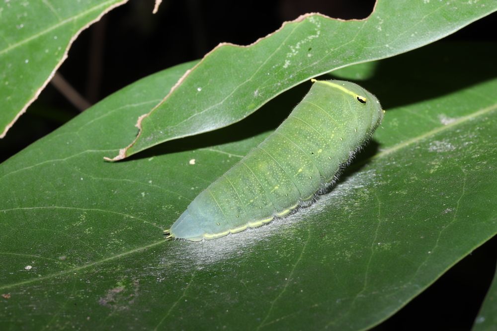 Photograph by Se Lena