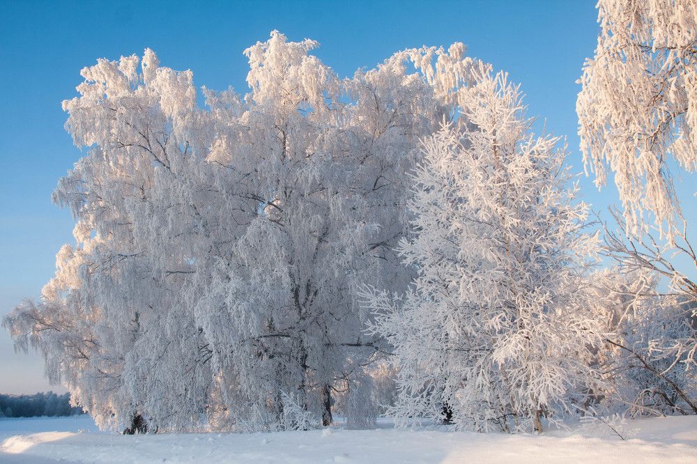 Photograph by Иван Овчинников