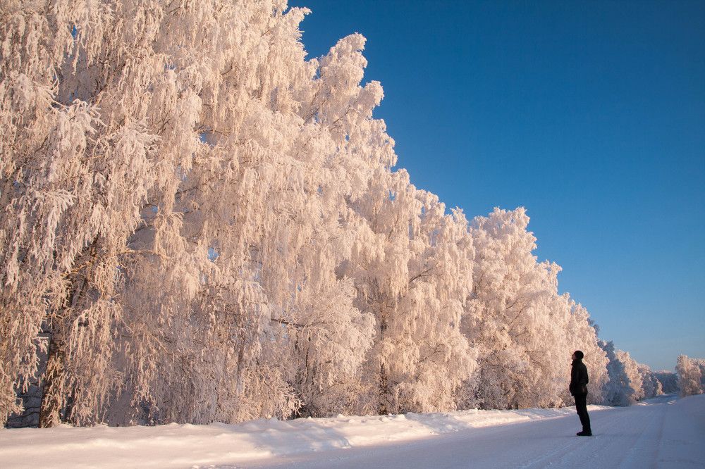 Photograph by Иван Овчинников