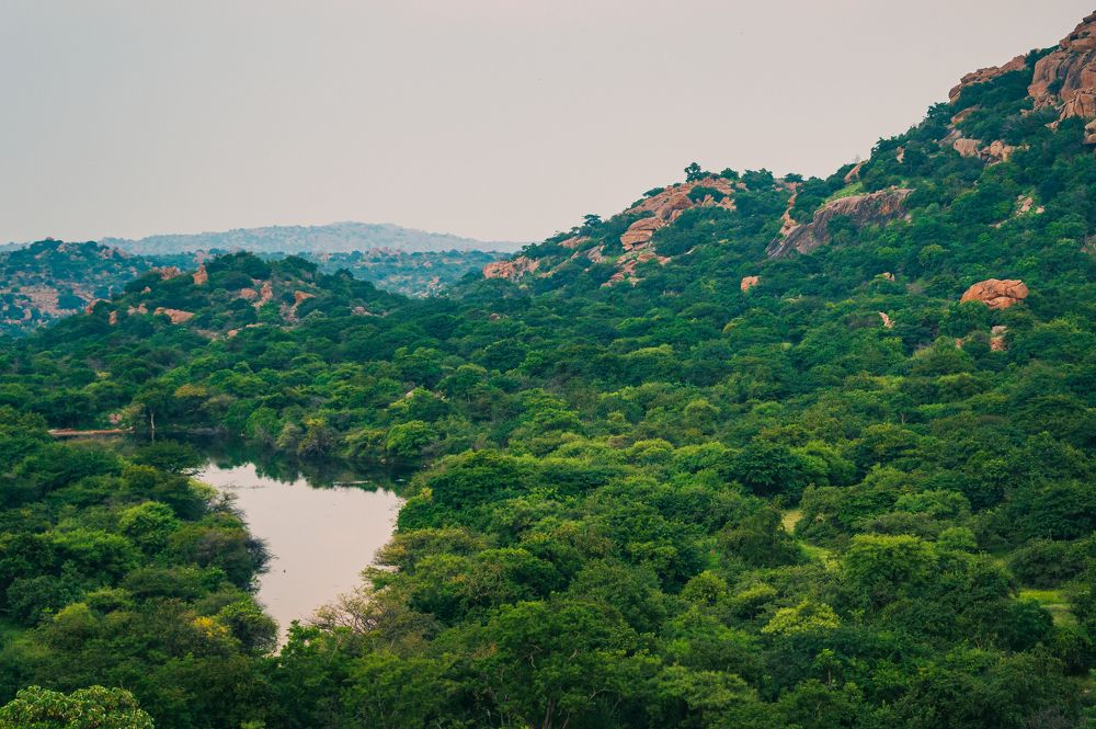 Фотография автора Kirtesh Mahant