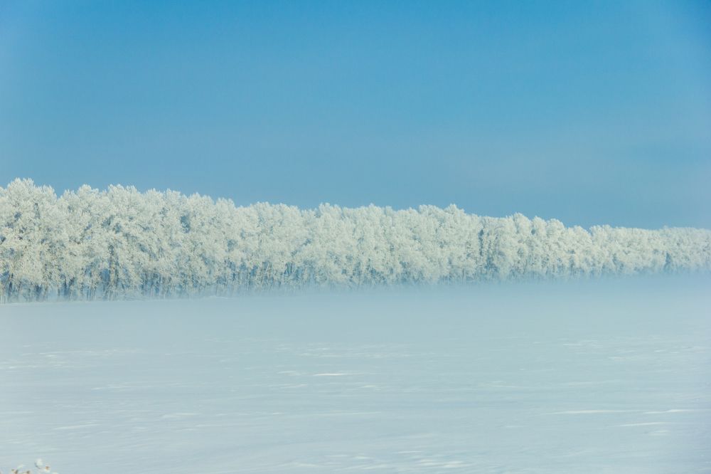 Photograph by Иван Овчинников