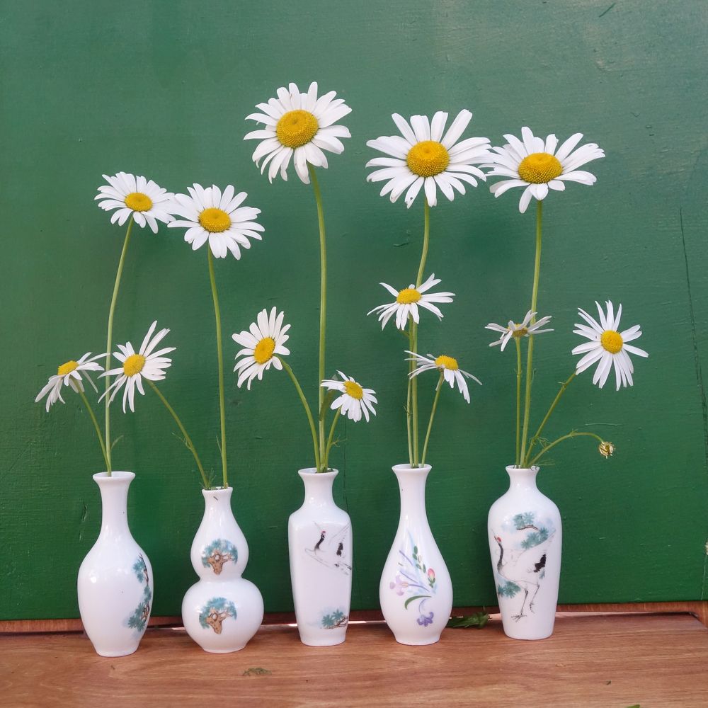 Photograph by Ионова Татьяна