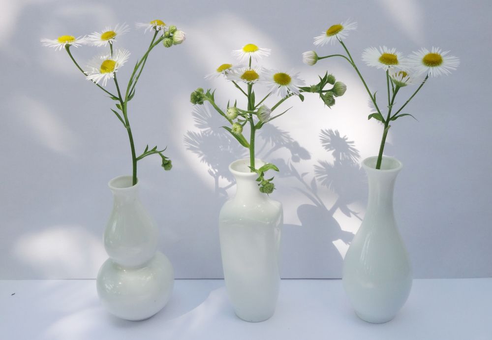 Photograph by Ионова Татьяна