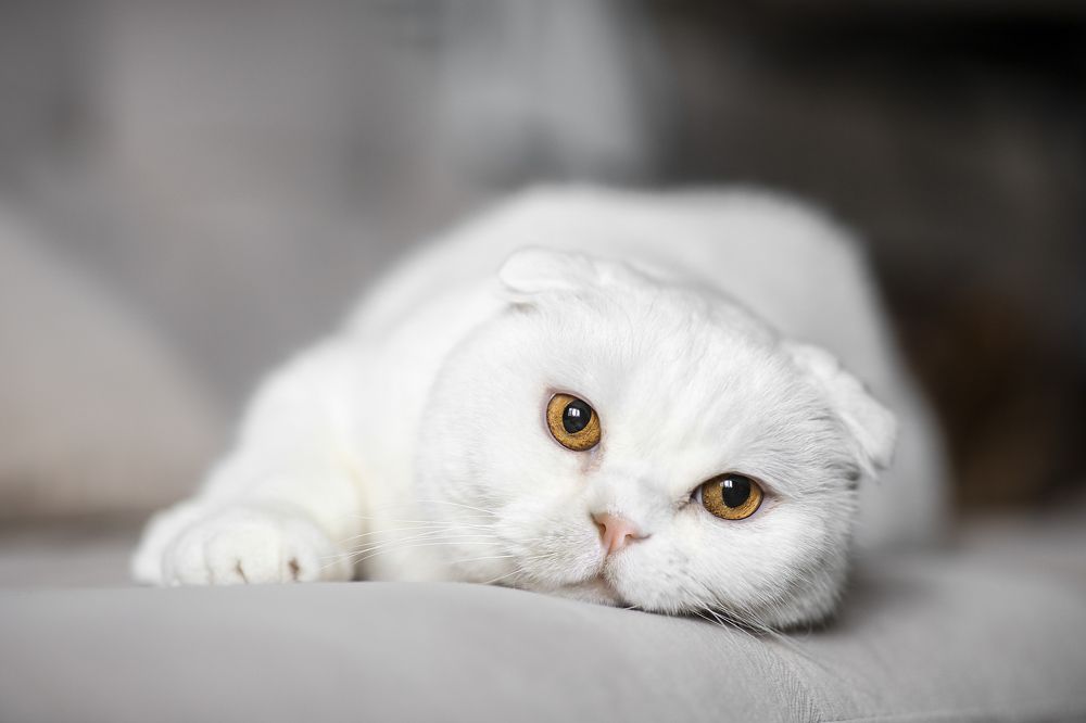 Photograph by Максим Мураков