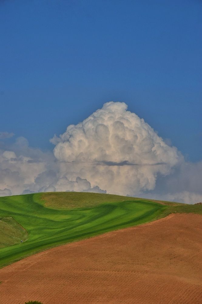 Photograph by Ehsan Fathi