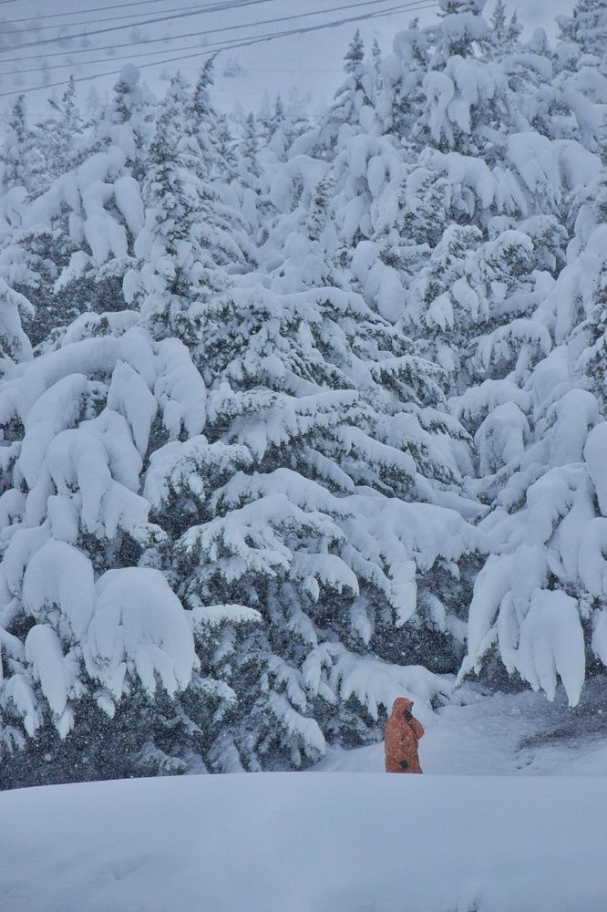 Photograph by Ehsan Fathi