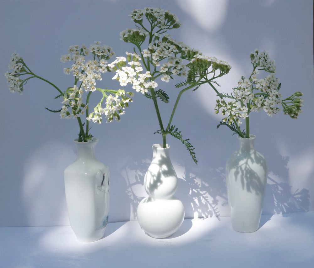 Photograph by Ионова Татьяна