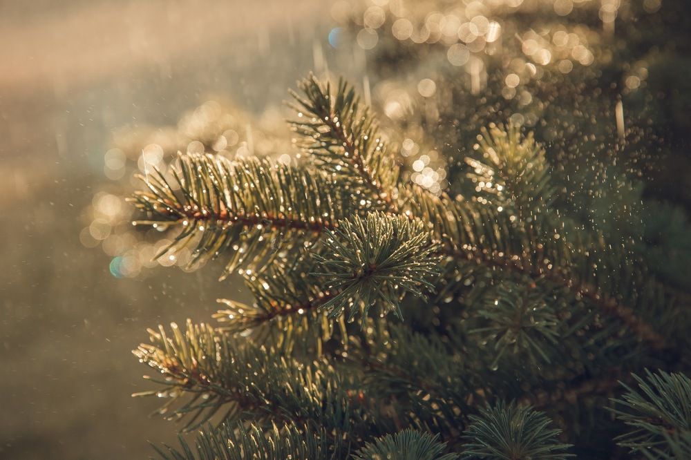 Photograph by Наталья Кириллова