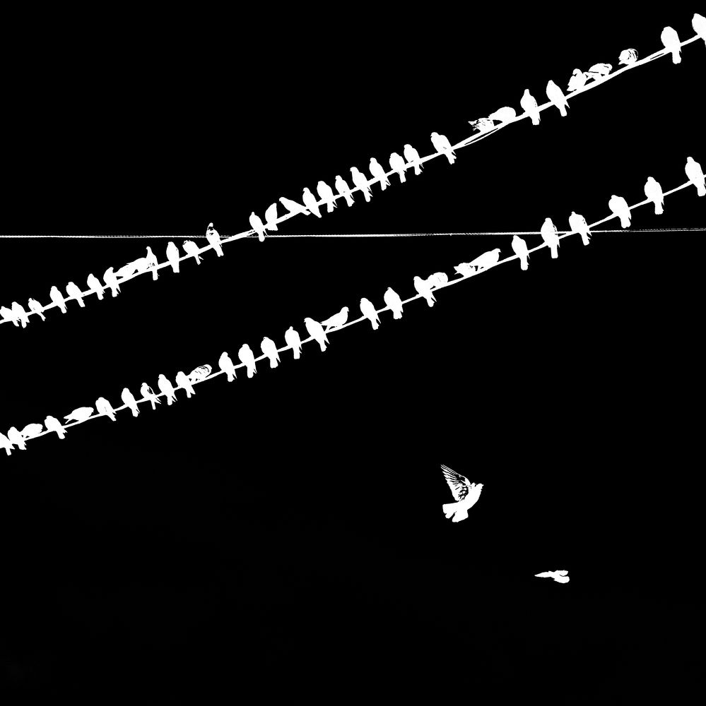 Photograph by Наталья Кириллова