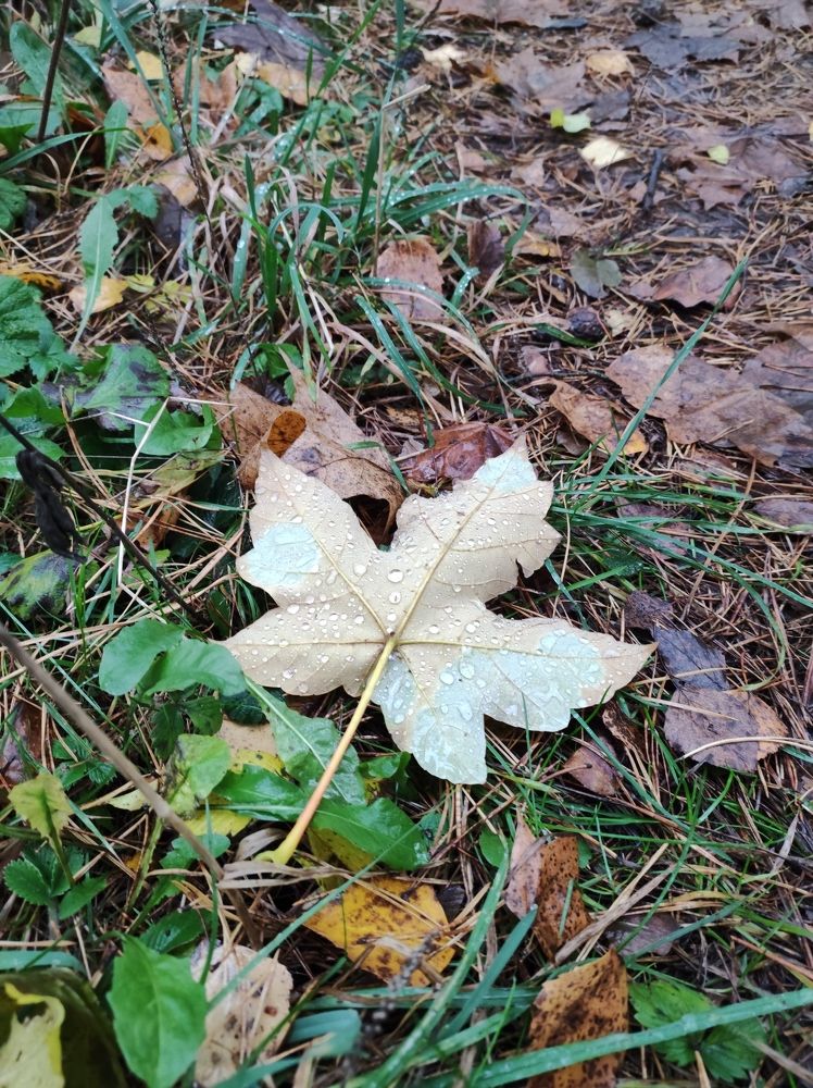 Photograph by Анна Маскалик