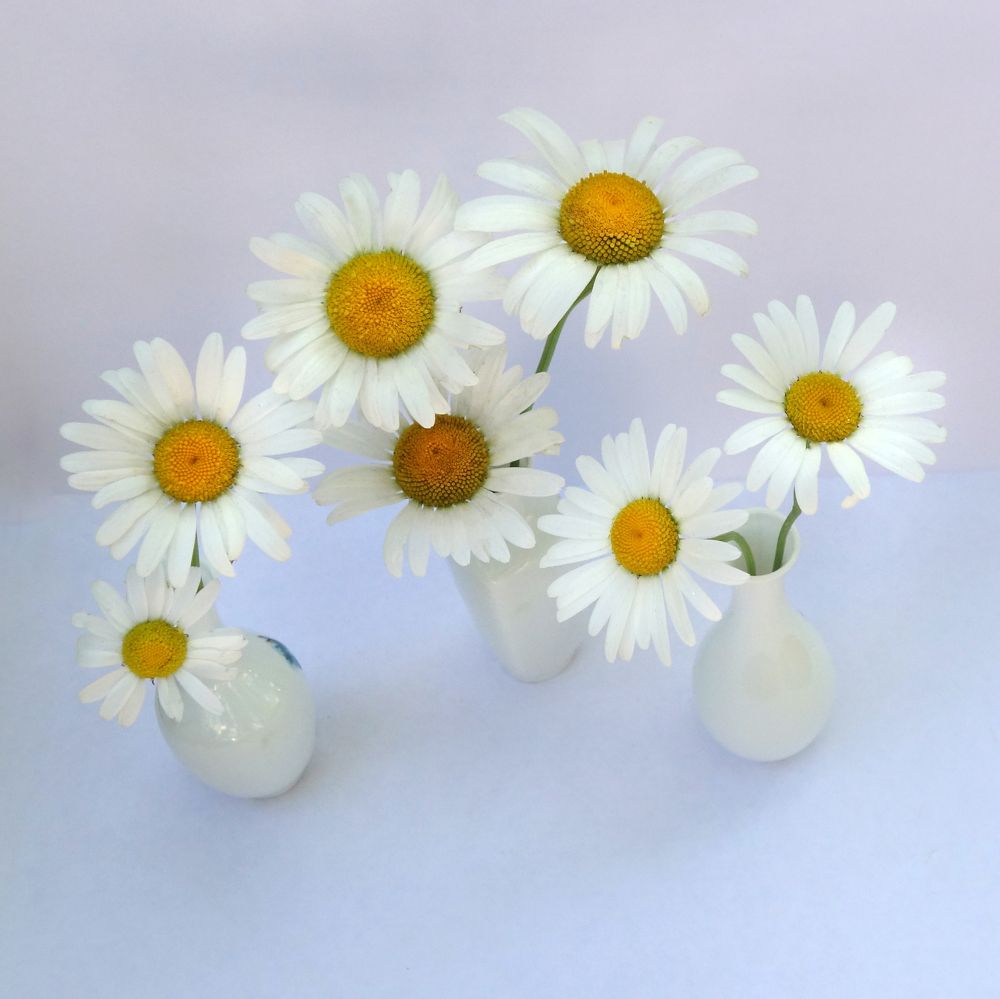 Photograph by Ионова Татьяна