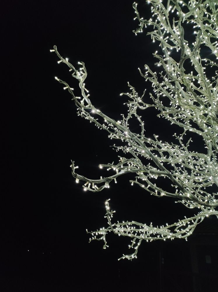 Photograph by Анна Маскалик