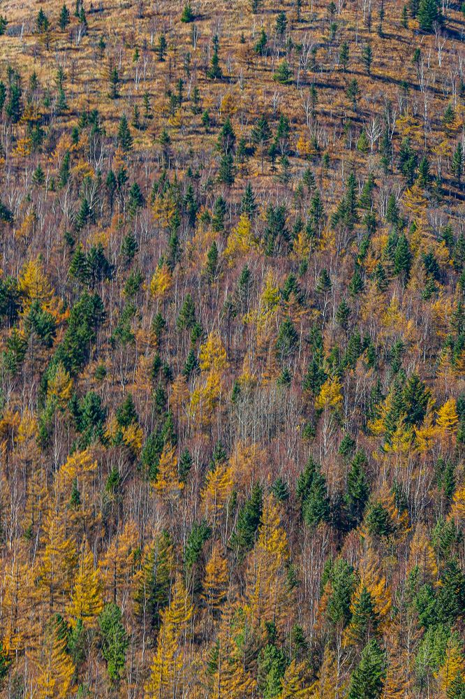 Photograph by Дарья