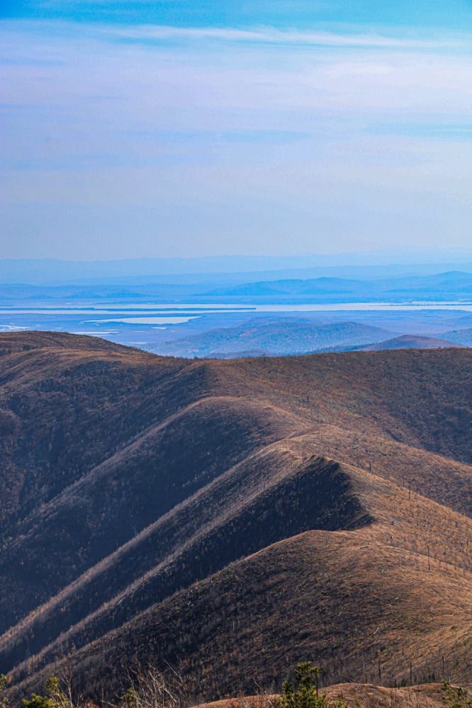 Photograph by Дарья