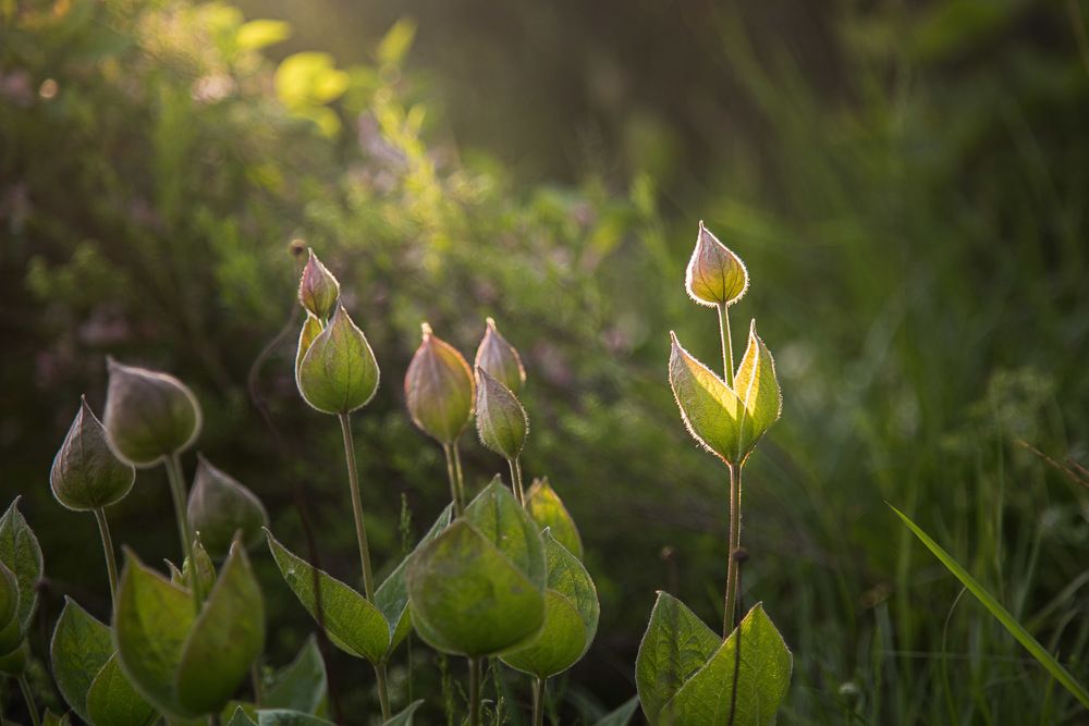 Photograph by Ирина Яук