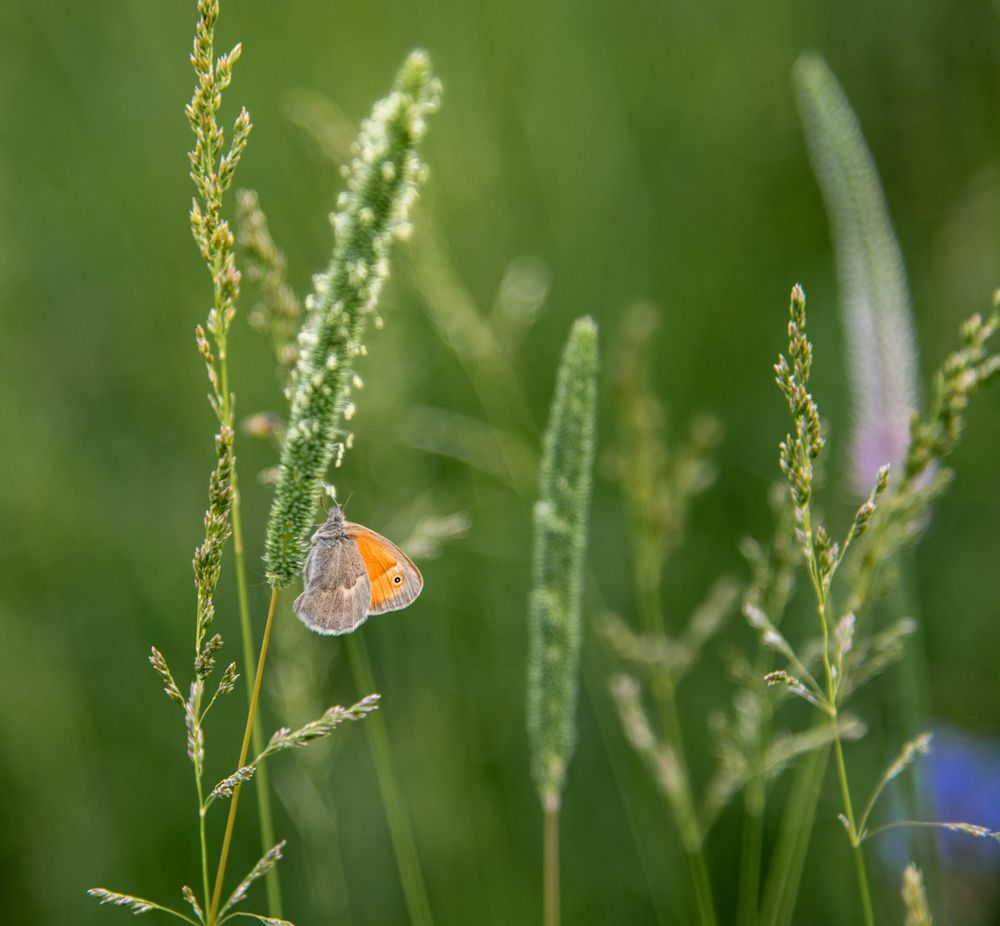 Photograph by Ирина Яук