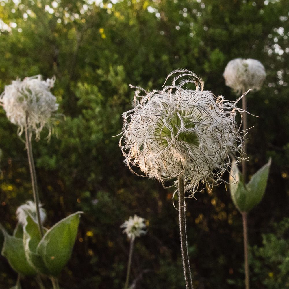 Photograph by Ирина Яук