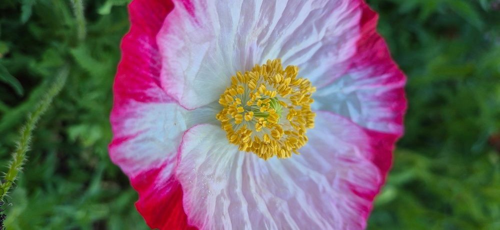 Фотография автора Ольга Мусина