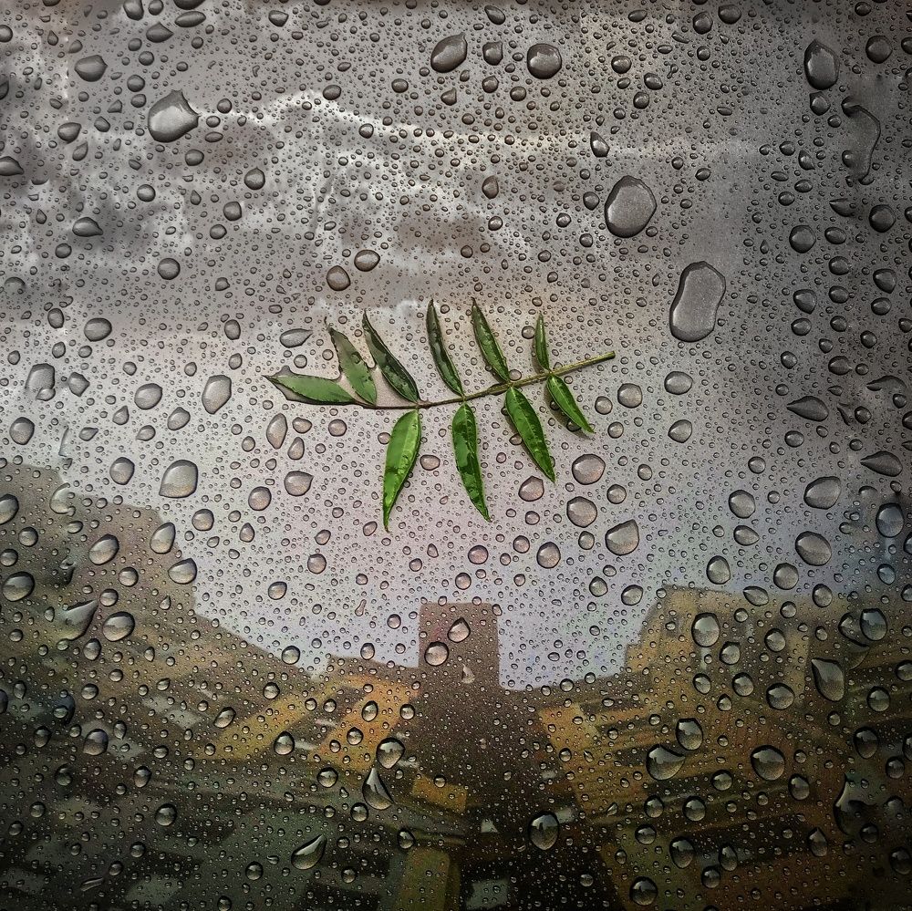 Фотография автора Геннадий Ломеко