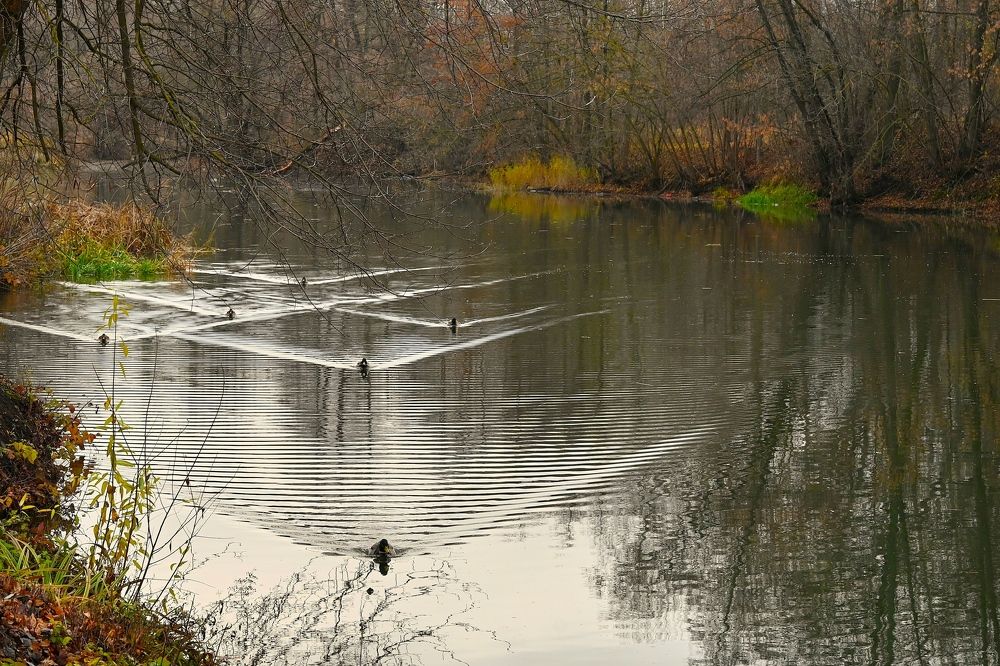 Photograph by Наталья Маркова