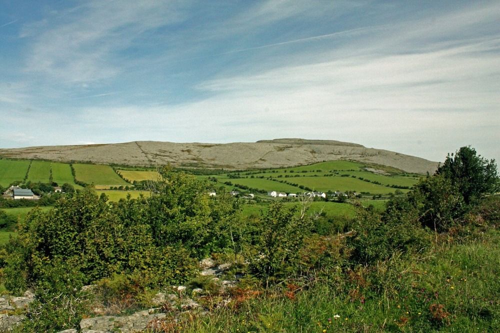 Фотография автора Дарья Петровская