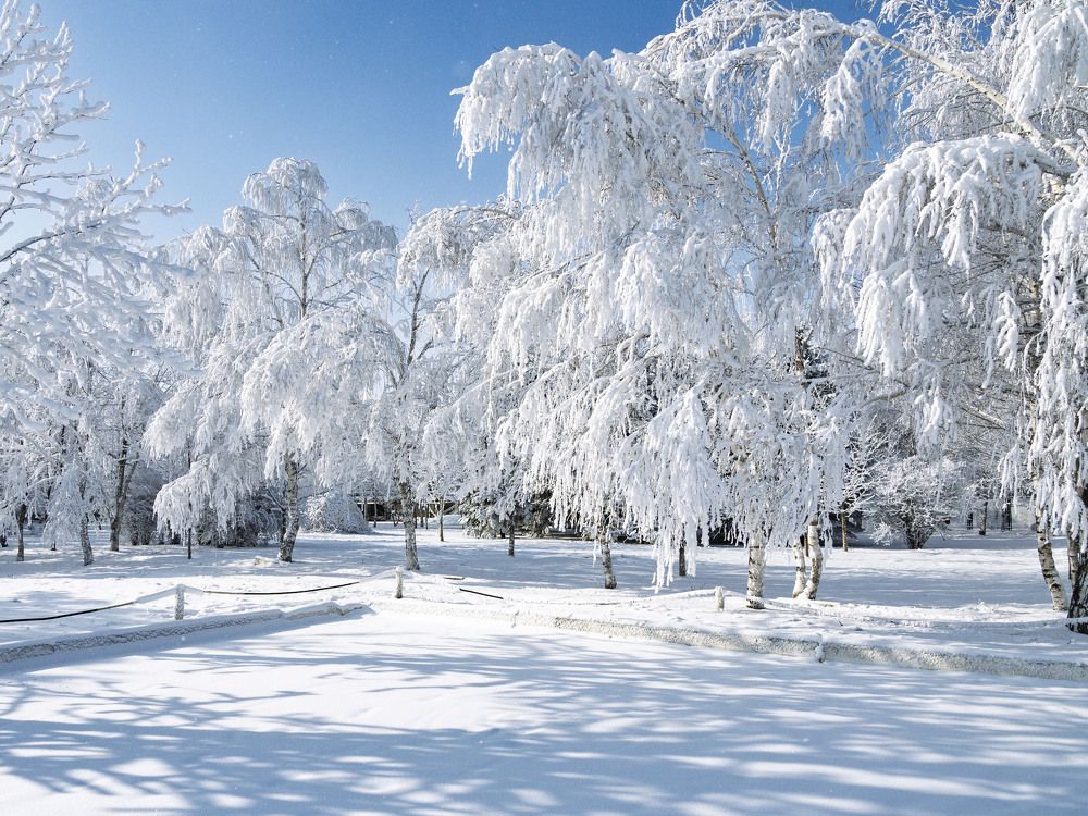 Фотография автора Борис Полтавец