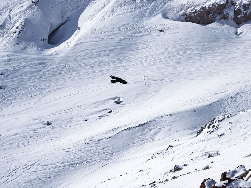 Photograph by Борис Полтавец