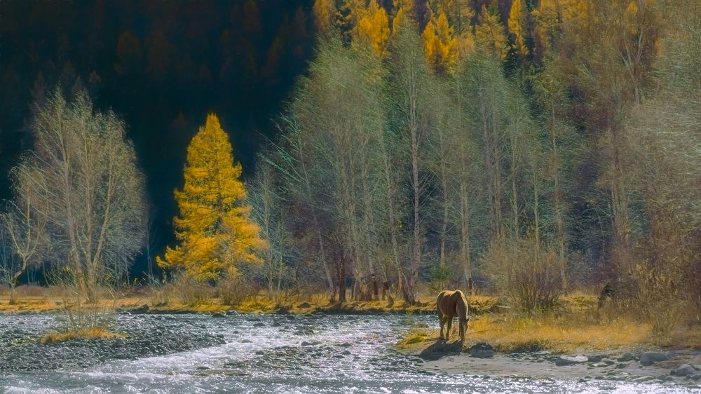 Photograph by Шварцман Евгений