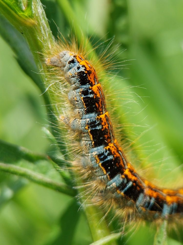 Photograph by Данила Черезов