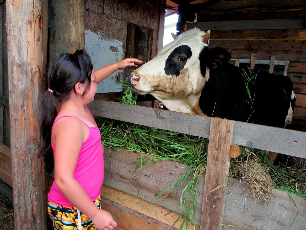 Фотография автора Nelya  Lysenko