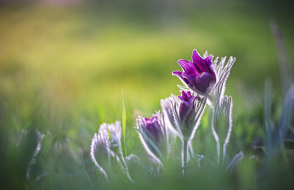 Photograph by Зеленько Дмитрий