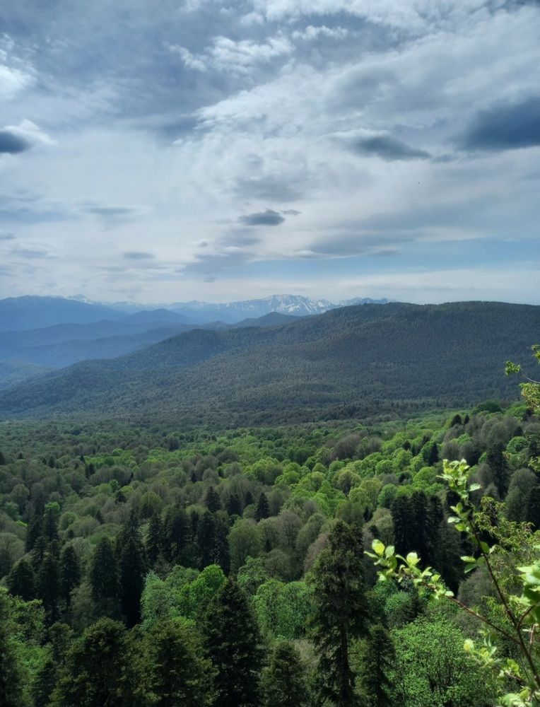 Photograph by Диана Савостина