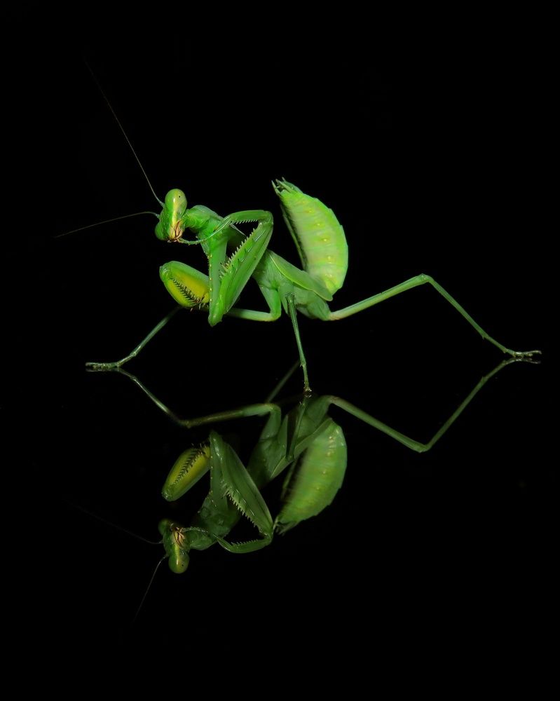 Photograph by Amin Ghaffarian