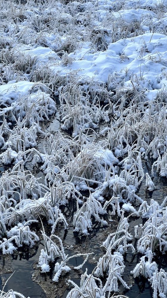 Photograph by Марина Куимова