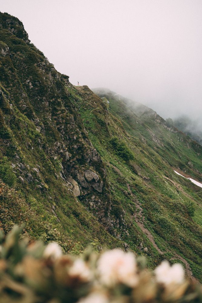 Photograph by Margarita